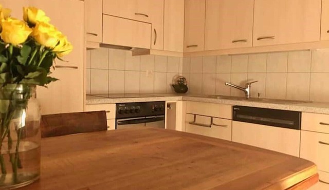 Cosy apartment in heritage protected swiss chalet