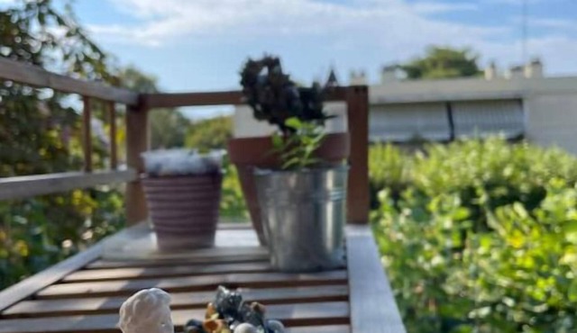 Cosy Apartment 3 Rooms at Chatou 10km Paris La Défense & 20km Stade FR