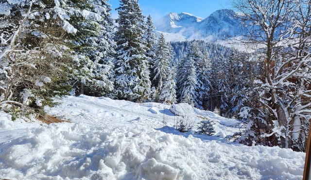 Cosy apartment Antlana