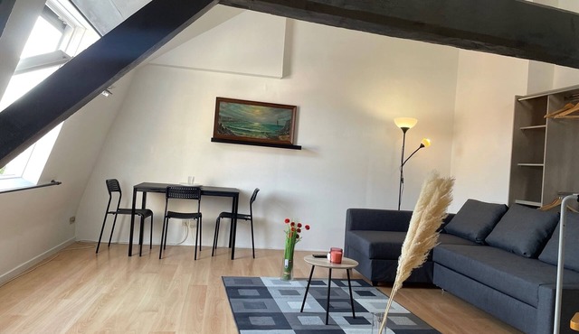 Cosy apartment at the foot of the metro and downtown