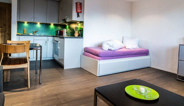 Cosy apartment for 3 people with WIFI, TV, balcony and pets allowed