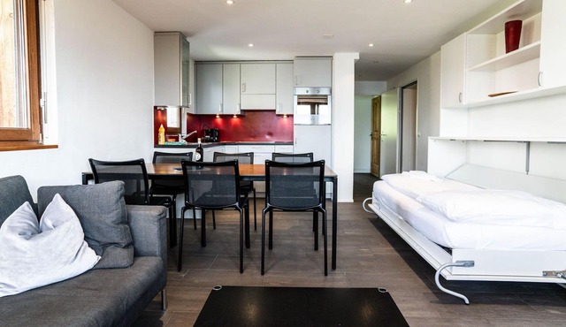 Cosy apartment for 5 people with WIFI, TV, balcony and pets allowed
