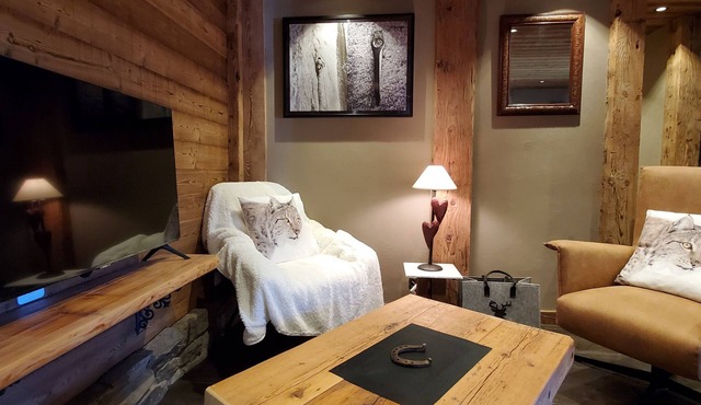 Cosy apartment in a quiet, authentic chalet