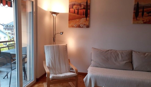 Cosy Apartment next to the train station and Lake Leman
