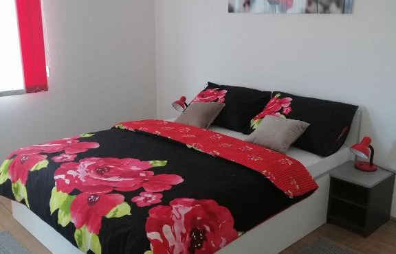 Cosy apartment ROAD A6