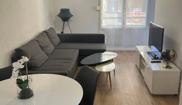 Cosy apartment Strasbourg, Gare, Zénith.