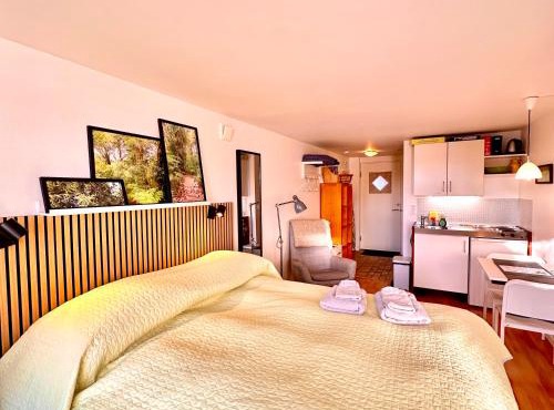 Cosy apartment with private terrace