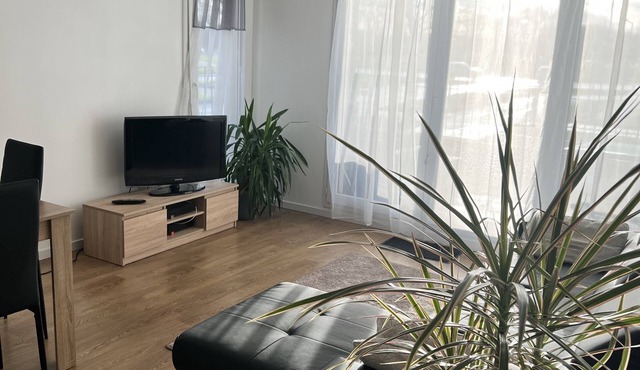 Cosy Appartement Disneyland Paris/600m Gare val D'europe/parking/navette