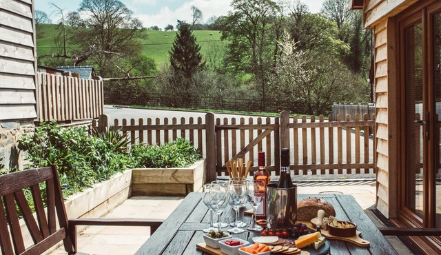 Cosy Barn Conversion in Rural Mid-Wales. Pet-friendly, with hot-tub!