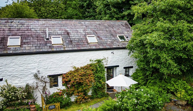 Cosy Barn Cottage nestled in a Nature Haven