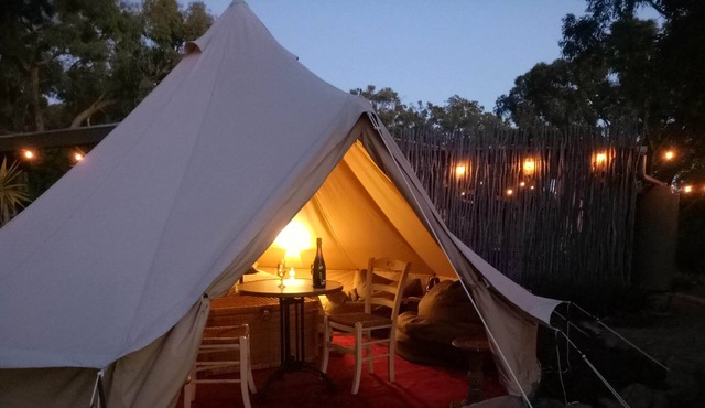 Cosy Bell Tent With an à la Carte Breakfast and up Close Kangaroo Experience