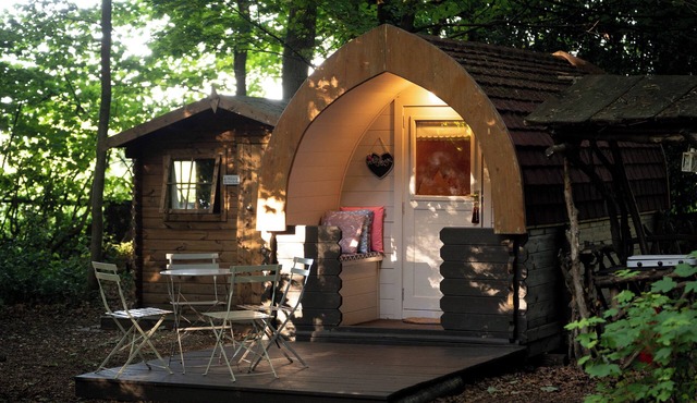 Cosy Bluebelle Glamping pod in a secluded woodland clearing