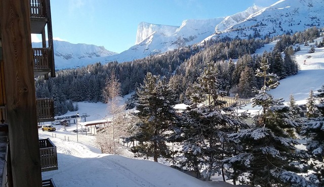 Cosy, brand-new 41m² 4/6-person apartment near ski slopes