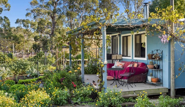 Cosy Bungalow on Tranquil Organic Mini-Farm