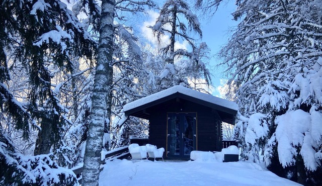 *Cosy Cabin - Mont Blanc View’s/ Woods/ Start of snowshoeing trails!