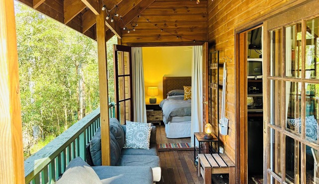Cosy Cabin in Ancient Rainforest Barrington Tops