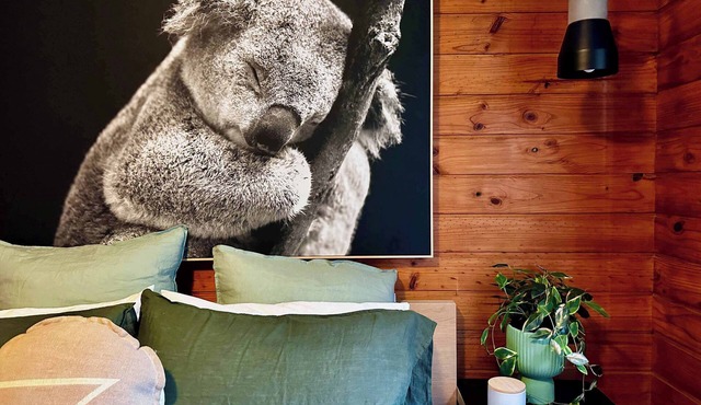 Cosy Cabin, Kangaroo Valley Golf Resort- Wildlife