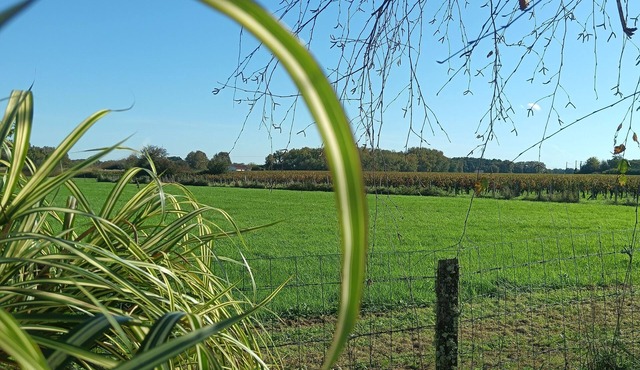 Cosy chalet with Jacuzzi option