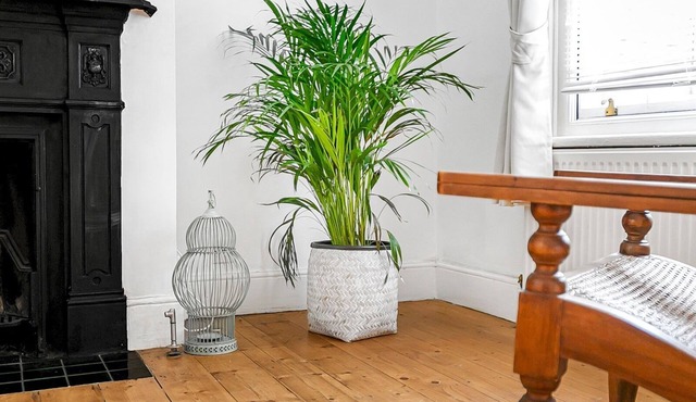 Cosy & Comfortable Family Home in Romford| Pass The Keys