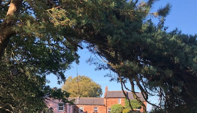 Cosy Cottage, Full Of Character Situated Along A Woodland Drive