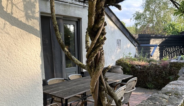 Cosy cottage in beautiful surroundings