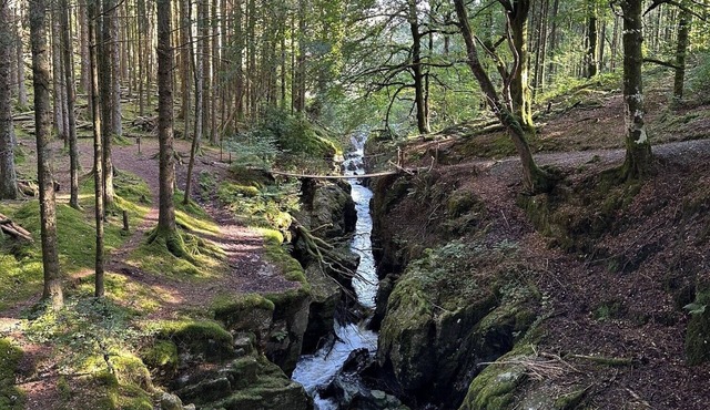Cosy cottage in Cambrian Mountains, near Aberystwyth, Devils Bridge, Elan Valley