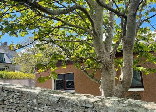 Cosy cottage in Kveldrso Gardens