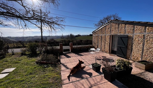 Cosy cottage in quiet country setting