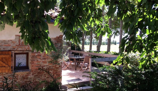 Cosy cottage in the Tarn countryside, close Toulouse and Albi- pet friendly