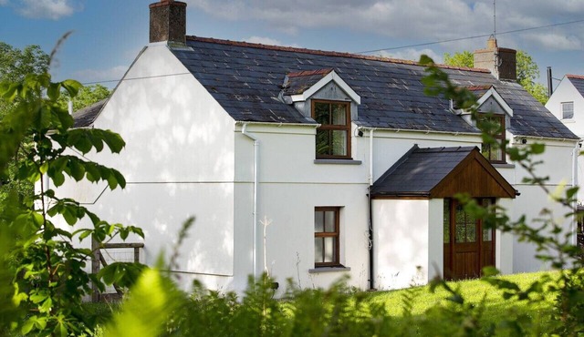 Cosy Cottage in Wild Countryside by Llys-y-Fran