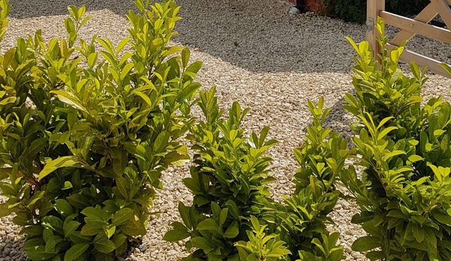 Cosy Cottage in Wiltshire