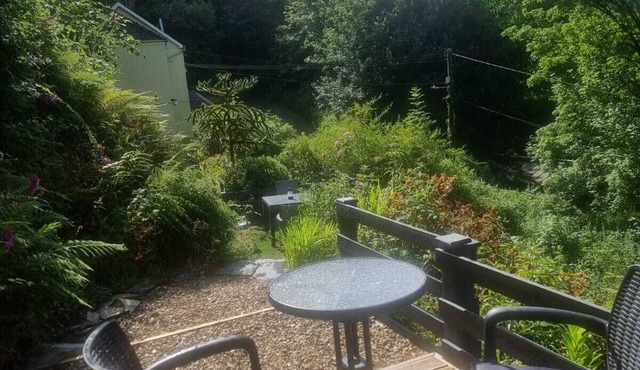 Cosy Cottage overlooking the Teifi Gorge