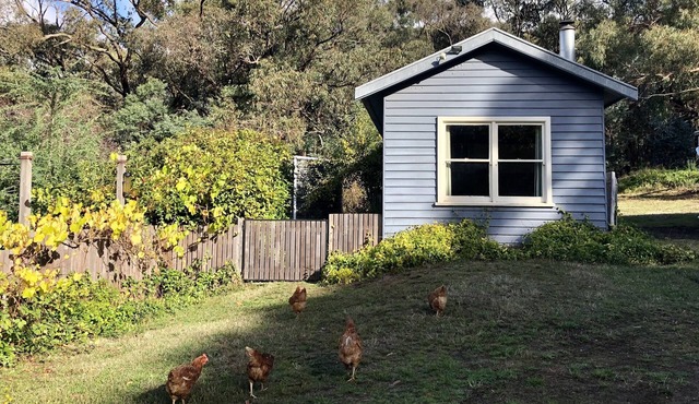 Cosy cottage with fire place and close to Daylesford