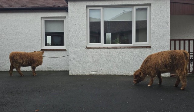 Cosy country cottage self contained free parking close to crosshouse hospital