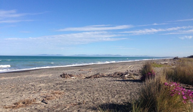 Cosy country cottage at Leithfield Beach, child friendly