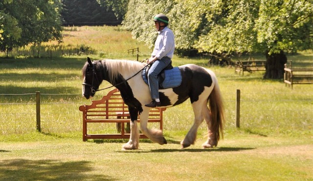 Cosy Country Cottage overlooking its garden and countryside