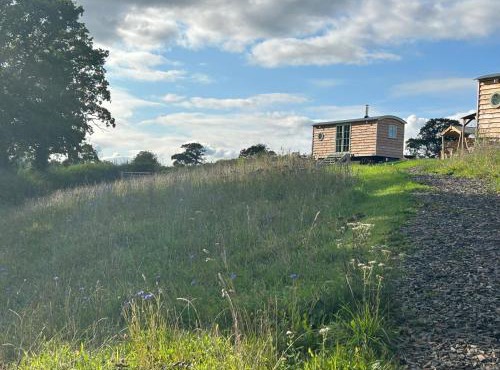 Cosy devon Hut woodland views