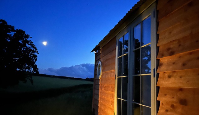 Cosy devon Hut woodland views