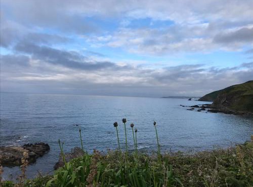 Cosy double room in a seaside cottage