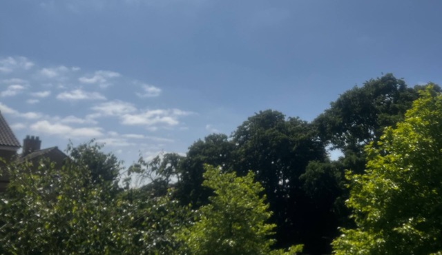 Cosy Dulwich next to Arts Centre Crystal Palace