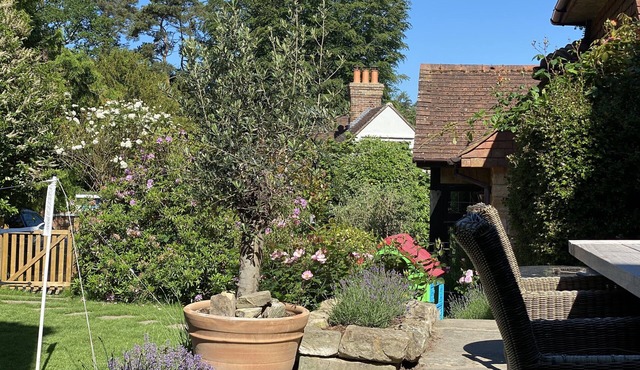 Cosy duplex Cottage on Ashdown Forest