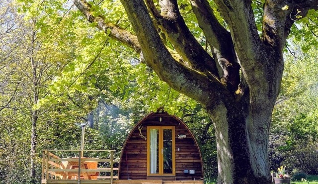 Cosy Ensuite Glamping With A Hot Tub
