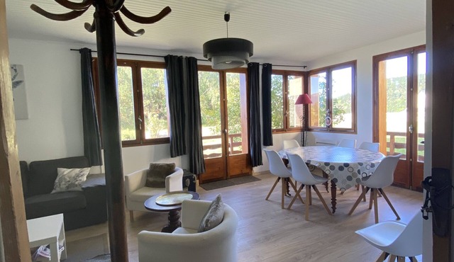 Cosy family apartment in the heart of the Pyrenees