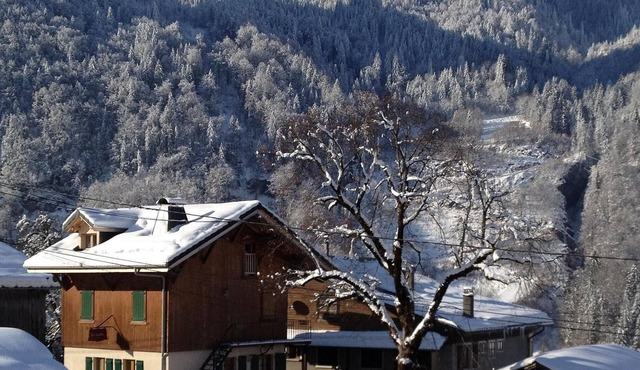 Cosy family-friendly duplexchalet apartment - ski to door, hiking. Pet.friendly