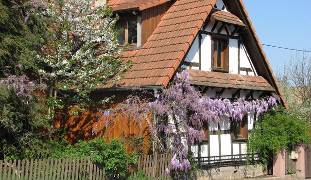 Cosy flat in Betschdorf