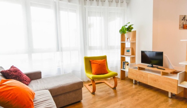 Cosy flat on La Concha beach