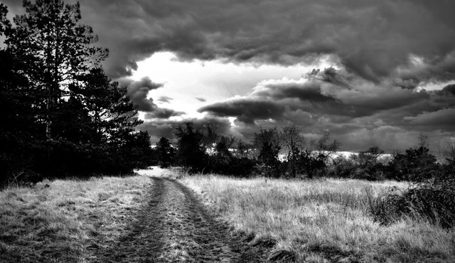 COSY GITE IN MEDIEVAL VILLAGE near AVALLON