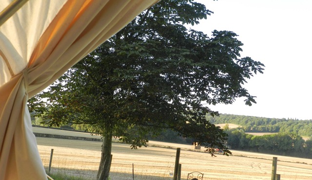 Cosy glamping 4m bell tent in rural Herefordshire
