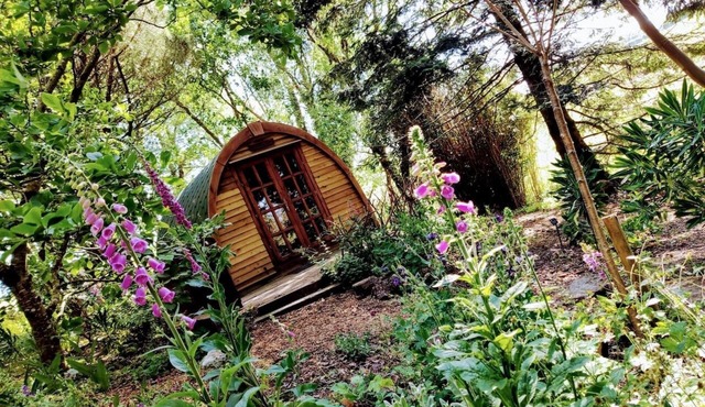 Cosy Glamping at The Greenhouse Spa Retreat
