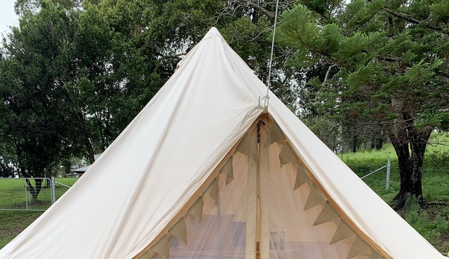 Cosy glamping tent with mountain views… and friendly moos